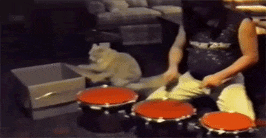 200.gif