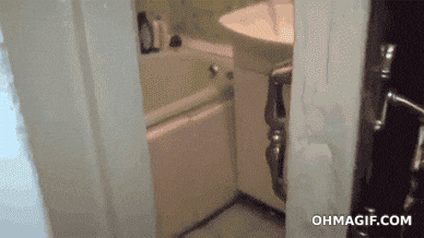 Privacy gif