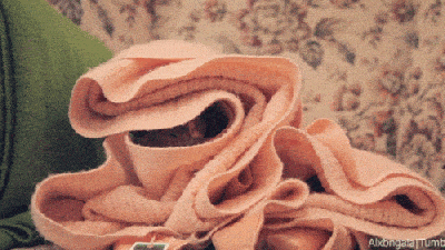 Cozy gif