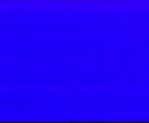 Identity gif