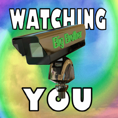 Surveillance gif