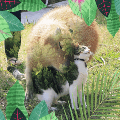 Cat Love GIF by Julia Sinelnikova