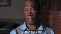 Shawshank Redemption GIF by Giphy QA
