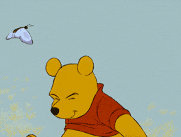 Winnie The Pooh Bear GIF by Disney