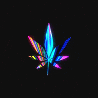 Fun Weed GIF by Fasiha Rauf