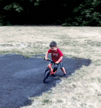 Gif Image