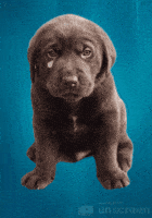 Sad Oh No GIF by Unscreen