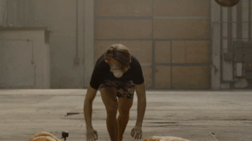 spike thespikeroom GIF