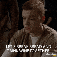 episode 1 showtime GIF by Shameless