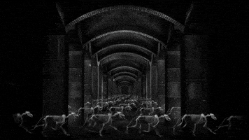 black and white loop GIF by A. L. Crego