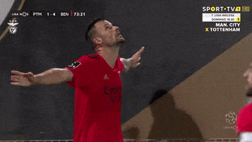 Sl Benfica Slbgif GIF by Sport Lisboa e Benfica
