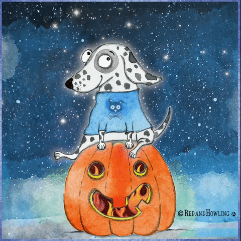 fun dog GIF by Red & Howling