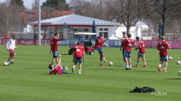 happy robert lewandowski GIF by FC Bayern Munich