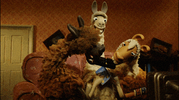 animation llama GIF by Shaun the Sheep