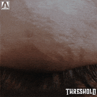 Wake Up Eye GIF by Arrow Video