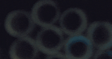 art glow GIF by Digg