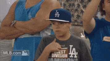 fan love GIF by MLB