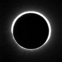 Black And White Space GIF by xponentialdesign