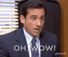 Season 4 Wow GIF by The Office Season 4 Wow GIF by The Office