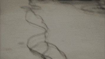 season 1 episode 6 GIF by Portlandia