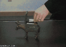 cigarette donkey GIF