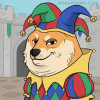 Judging Shiba Inu GIF by Doge Pound