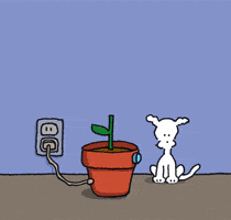 flowers for you love GIF by Chippy the Dog