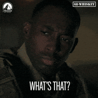 Davis What GIF by Paramount Network