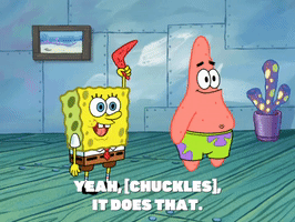 season 6 GIF by SpongeBob SquarePants