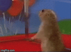 Dramatic Chipmunk GIF