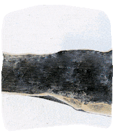 Look At Black Cat GIF