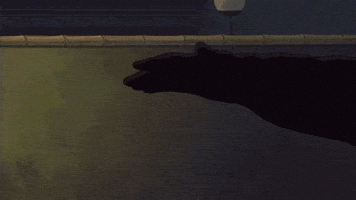 studio ghibli art GIF by The Good Films