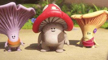 Oh My God Omg GIF by Mushmushfun