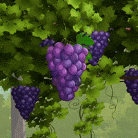 200.gif