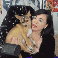 dog kiss GIF