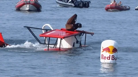 flugtag GIF