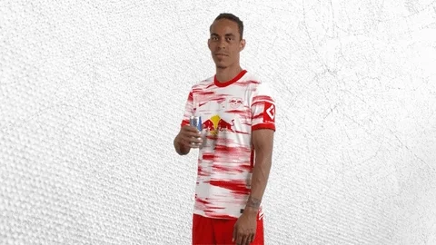 Champions League Football GIF