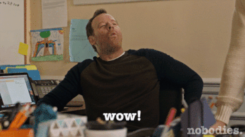 tv land wow GIF by nobodies.