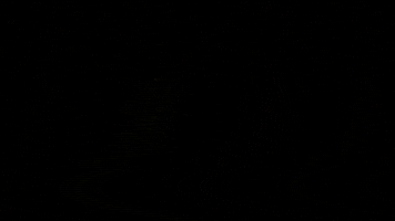 Whitney Houston Hologram GIF by Primary Wave