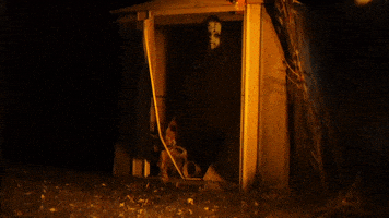 Trick Or Treat Halloween GIF by Visual Smugglers