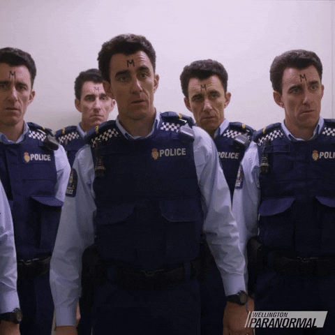 What We Do In The Shadows Comedy GIF by Wellington Paranormal