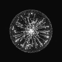 3D Render GIF by xponentialdesign