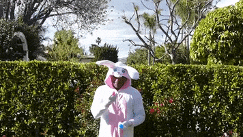 satisfying easter eggs GIF by Robert E Blackmon