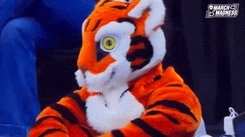 College Basketball No GIF by NCAA March Madness