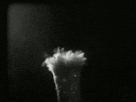 black and white vintage GIF by Okkult Motion Pictures