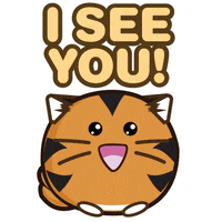Cat Emoji GIF by Fuzzballs