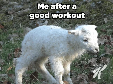Workout Gym GIF