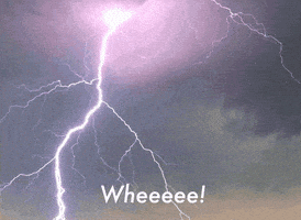 thor ragnarok cat GIF by Nebraska Humane Society