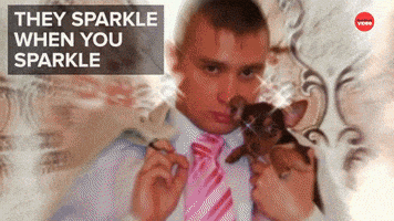 Best Friends Funny Animals GIF by BuzzFeed