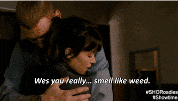 cameron crowe lol GIF by Showtime